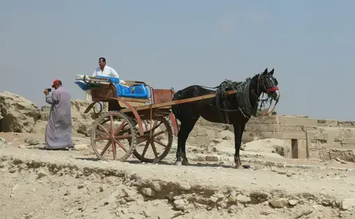 In Egypt, donkeys and wagons are used to haul people and loads, including containers full of water. Image by Fredrick Mugira. Egypt, 2019.