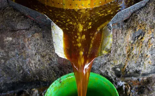 Palm oil is pressed from fruits in a factory in Southern Myanmar. Image by Wudan Yan. Myanmar, 2016.