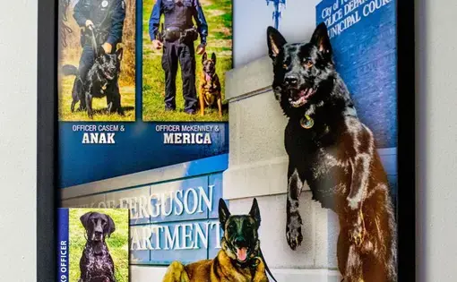 Photographs of officers and their K9 assistants are photographed on Thursday, Dec. 11, 2019, at Superior Transport Inc. in O'Fallon, Missouri. Image by Brian Munoz. United States, 2019.