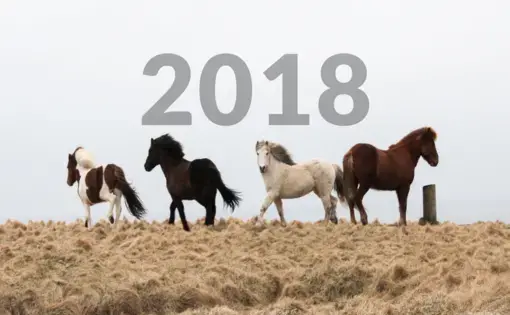 2018 Pulitzer Center Annual Report Cover