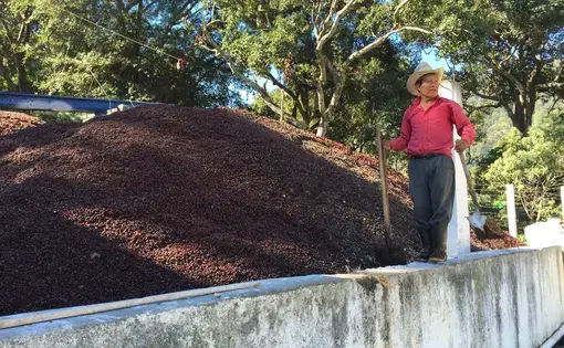 Image by Katherine Blunt. Guatemala, 2015. Media file: img_2267.jpg