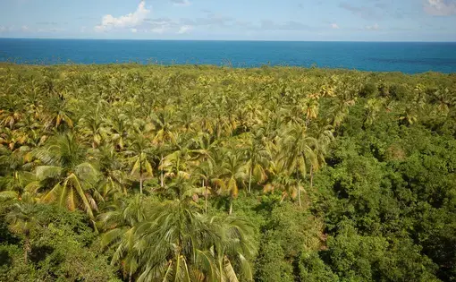 The Guantanamo province in Cuba. Image by Libor Píška / Shutterstock. Cuba, undated.