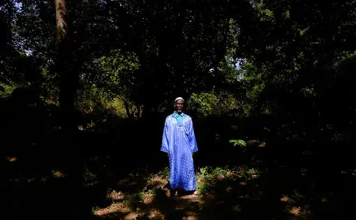 Image by Ricci Shryock/Mongabay. Guinea-Bissau, 2020.