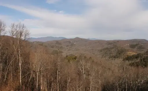 Houses dot the hillside near Black Mountain, North Carolina. Image&nbsp;by Emma Johnson. United States, 2020.