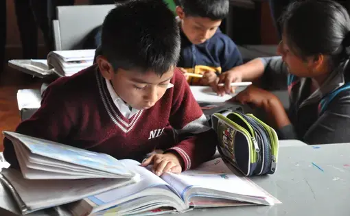 Image by Adrianne Haney. Ecuador, 2014.