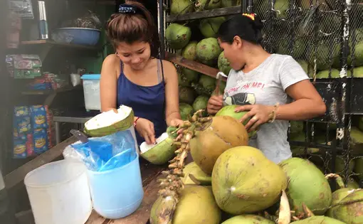 A coconut stand in Manila. The online gambling business is booming in the Philippines, but its many critics complain that rising rents and social problems caused by it are harming ordinary Filipinos. Image by Richard Bernstein. Philippines, 2020.