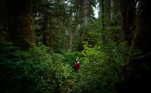 Retired State Trooper and local conservationist Bob Claus tours some of the last pristine old growth forest that remains on Prince of Wales Island, Alaska. Image by Joshua Cogan. United States, 2019.