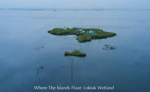 The floating islands of Loktak Lake, known as “phumdis,” home to animals, plants, and an indigenous community, are threatened by development. Image by Neeta Satam. India, 2017.