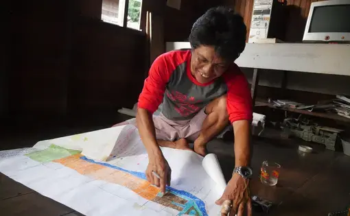 Farmer Norhadi points to forest cleared to make room for the Mega Rice Project