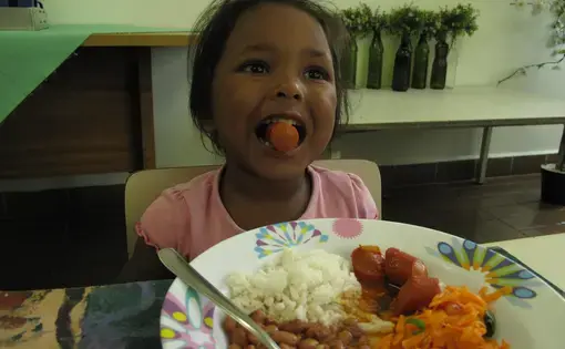 A student eats lunch at a school in Sao Paulo city. Lunch usually consist of rice, beans, meat (pork, beef, or chicken) and a salad. The younger students eat three to five meals every day at school. Media file: brazil_062.jpg