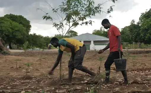 Maputo says it has no plans to evict farmers from their land, nor lease it to any foreign company. Image by Enrico Parenti. Mozambique, 2017.