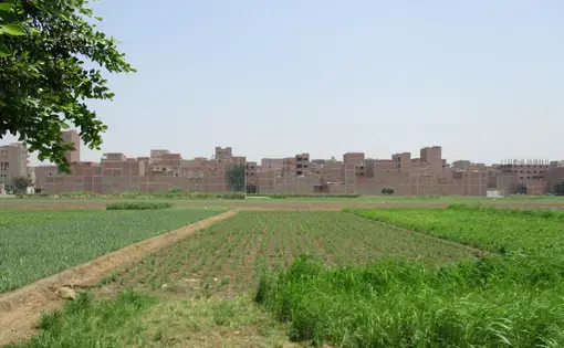 New informal development in a Western suburb of Cairo encroaches onto agricultural land. Image by Jahd Khalil. Egypt, 2016. New informal development in a Western suburb of Cairo encroaches onto agricultural land. Image by Jahd Khalil. Egypt, 2016.