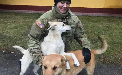 Wisconsin National Guard Sgt. Jamie Zimmerman pets Snowball and Max at the International Peacekeeping and Security Centre in Yavoriv, Ukraine. Zimmerman is a civilian veterinarian and a military medic serving a one-year deploying to Ukraine. Image by Meg Jones / Milwaukee Journal Sentinel. Ukraine, 2020.