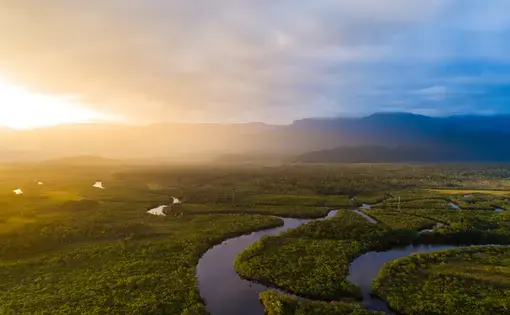 Image by Shutterstock. Brazil, undated.