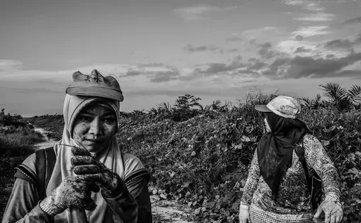 DAILY GRIND. Supraetun (left) and Asnia inside the plantation in Kandis, Riau, Indonesia. Image by Xyza Cruz Bacani. 2018.