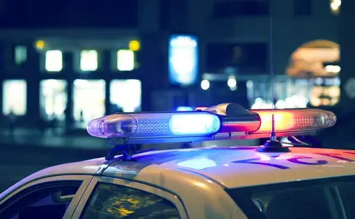 Blue light flasher atop of a police car. Image by Tiko Aramyan, undated.