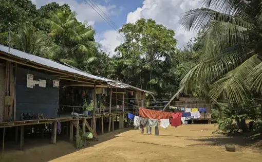 The indigenous people of Timbó live in raised wooden houses to protect themselves from snakes and wild animals. Image by Luis Ángel. Colombia, undated.