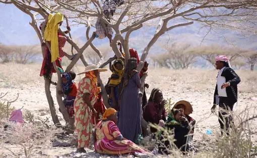 Displaced women and children gather under trees at al-Dashin's camp in Taiz. Image by Ahmed al-Basha/IRIN. Yemen, 2016.