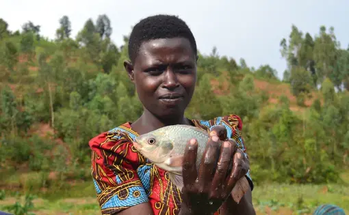 A young member of the Amahoro fish farming cooperative holds up one of the several fish the women catch each day. Image by Camille Behnke. Rwanda, 2019.
