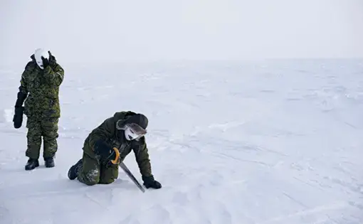 Image by Louie Pal. Arctic, 2019.