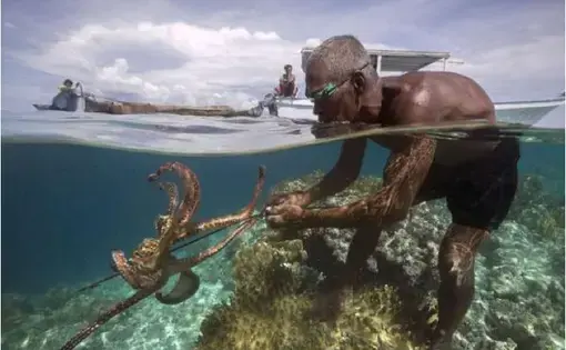Bajau Fisherman. Image by Steve Ringman. Indonesia, 2013.