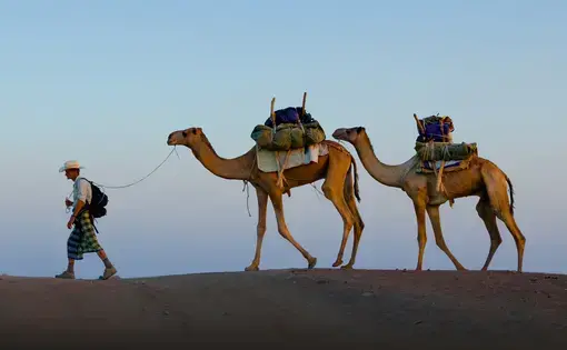 Two weeks into the Out of Eden Walk, Paul Salopek and local guides traverse the Afar region of northeastern Ethiopia. Image by John Stanmeyer / National Geographic. Ethiopia, 2013.