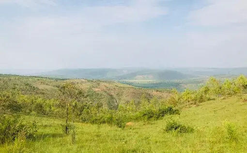 Rwanda is almost entirely rural, earning itself the nickname "Land of a Thousand Hills." Image by Cammie Behnke. Rwanda, 2018.