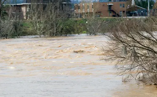 Columbus, Georgia: View of the Chattahoochee River from the riverwalk as it reaches flood levels after several days of non-stop rainy weather. Image by Vizual Studio / Shutterstock. USA, 2015.
