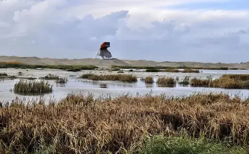 A wildlife-watching tower stands over a newly-built island in a lake near Amsterdam. The island is part of an ambitious restoration effort aimed at minimizing ecological damage caused by a nearby dam. Image by Tristan Baurick / Times-Picayune | The Advocate. The Netherlands, 2020.