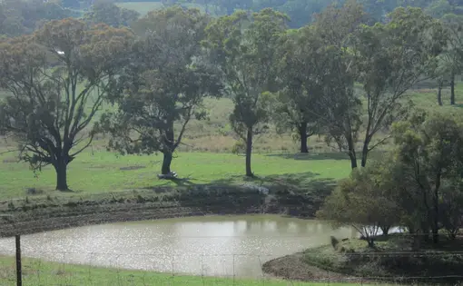 In New South Wales, Australia, water levels in farm ponds are low. Image by Joanne Silberner. Fiji, 2014. Media file: img_1207.jpg