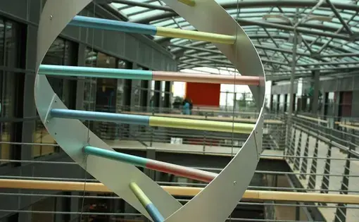 A DNA sculpture in deCODE Genetics Reykjavik headquarters. The company says it has all the information needed to accurately identify almost every single BRCA mutation carrier in Iceland. Image by Anna M. Clausen. Iceland, 2017.