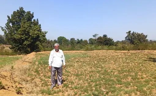 55-year old Ramsingh Nagvanshi, a Dalit farmer, at his farm. His family has cultivated the land for generations, but has no land title because it falls under orange areas. Image by Nihar Gokhale. India, undated.