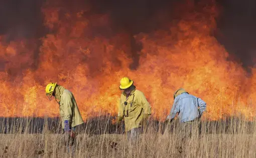 Volunteer crews at Konza Prairie Biological Station have a careful system for burning exactly the areas intended. Image by Kyler Zelen / For Harvest Public Media. United States, 2020.