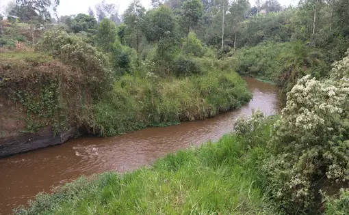 River Rwizi in Southwestern Uganda. Officials say River Rwizi, a life-line river for about five million people has had up to 80 percent of its water dry up. Image by Fredrick Mugira. Uganda, 2019.