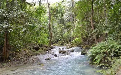 Image by Creative Commons. Philippines, 2017.