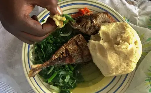 A typical meal in the Democratic Republic of Congo consists of greens, fufu - a starchy ball made from cassava flour - and meat, such as freshwater fish. Image by Amy Maxmen. DRC, 2017.