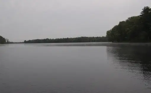 The Penobscot River in Maine. Image by Isaac Kestenbaum. United States, 2018.