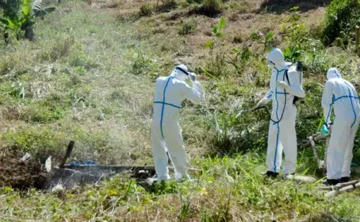 An unpaid burial worker in Kenema taking off and burning his protective clothes. Image by Amy Maxmen. Sierra Leone, 2015. Media file: ebola_amy_maxmen.jpg