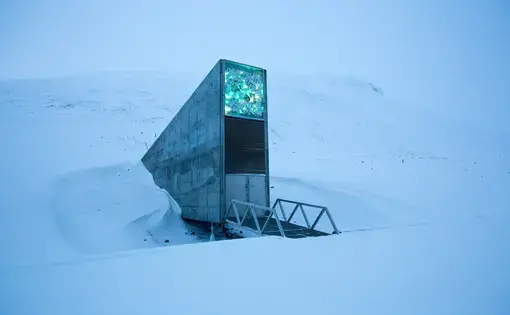 The Global Seed Vault on Spitsbergen, part of Norway’s Svalbard archipelago above the Arctic Circle. Over 930,000 varieties of food crops are stored in its icy depths. Image by Jennifer Duggan. Norway, 2017.