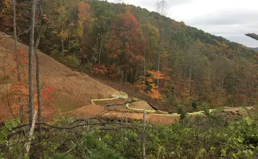 A view of land cleared for the Mountain Valley Pipeline, near the Yellow Finch tree-sits. Image by Kelsey Wright. United States, 2019.