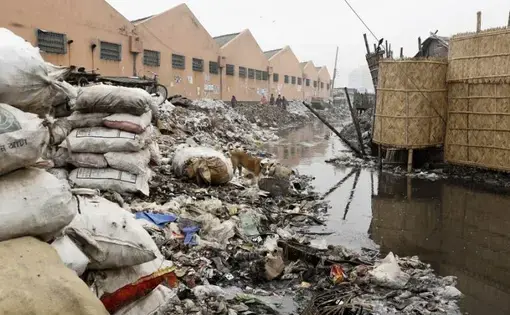 A creek outside a Dhaka tannery has banks covered in garbage and rotting animal hides. Image by Justin Kenny. Bangladesh, 2016.