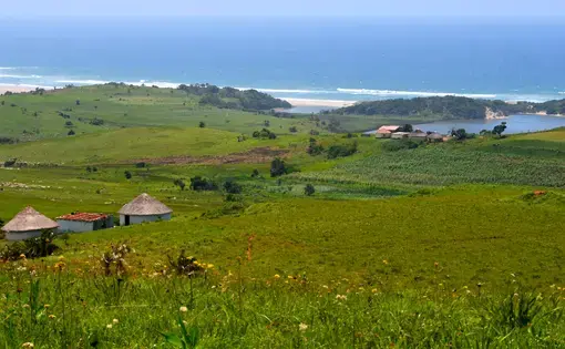 Homes and small agricultural plots dot the villages of Amadiba in South Africa's Eastern Cape province. Image by Mark Olalde. South Africa, 2017.