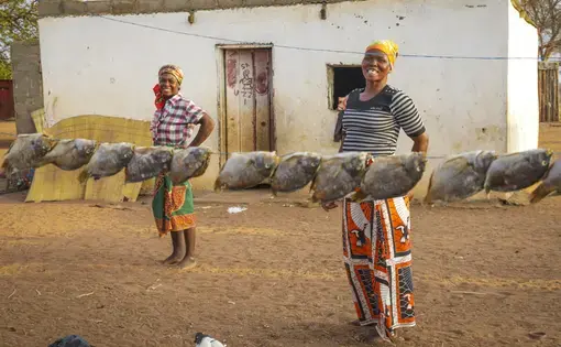 Women of the Mavoze community living inside the Limpopo National Park. Five communities await removal from the park. Image from AfricanDrone/Oxpeckers. Mozambique, 2018.