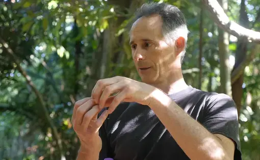 Stefan Schnitzer, a professor at Marquette University, at his research site in Panama. has discovered that vine-free jungle stores much more carbon than normal rainforest. Image by Dan Grossman. Panama, 2017.