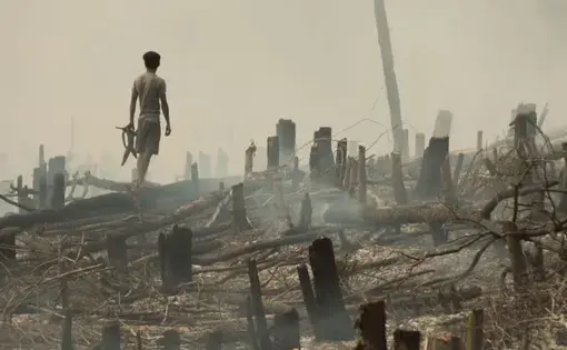 Throughout West Kalimantan swidden or “slash and burn” techniques are used to clear land in preparation for planting corn, spinach, and pumpkins. Moments after a large burn, a young man gathers Cassava roots among the still smoldering tree trunks. Image by Kent Wagner. Indonesia, 2016.