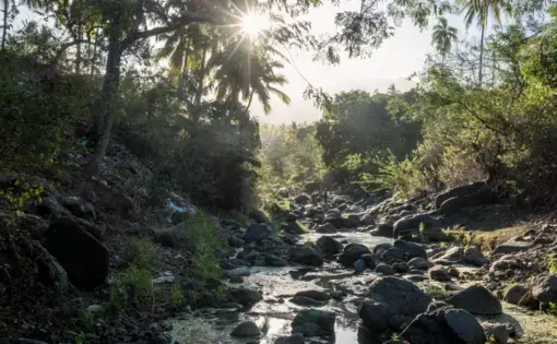 The trickle of a once-potent river on the island of Anjouan, in the Comoros. Image by Tommy Trenchard for The New York Times. Comoros, 2019.