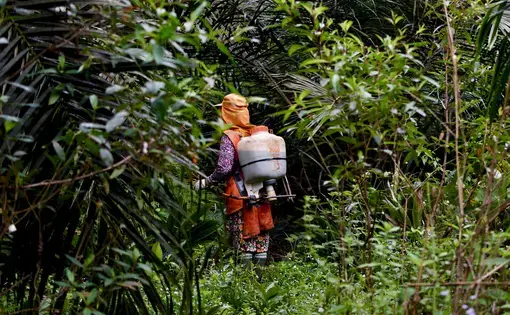Women workers spray pesticides on an industrial plantation in Riau, Indonesia. Image by Wudan Yan. Indonesia, 2017.