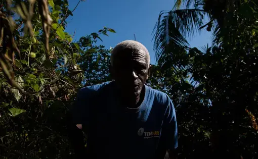 Nelson Adose Martines, 59, emerges from harvesting a cassava root by his family's shacks off of Suriname's Afobaka Road. Martines is part of the generations of Saamaka who still feel the effects of a 1964 government resettlement that moved thousands of residents from villages inundated by Alcoa's Brokopondo Reservoir. "We live off farming, farming is how we eat, how we live," said Martines. "But because a lot of villages relocated, we had to share these resources with more people." Image by Stephanie…