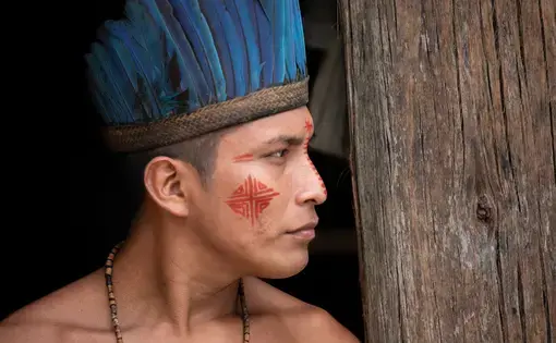Dessana indigenous community on a river island near Manaus city. Image by Marcio Masulino / Shutterstock. Brazil, 2020.