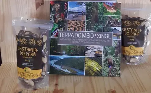 Cultivation and sale of Brazil nuts is among the sustainable activities promoted by the population of the region. Image courtesy CBN.